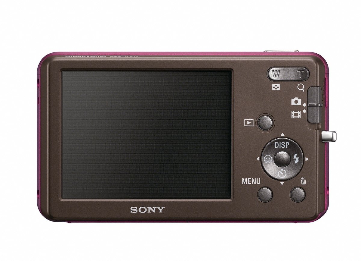 Sony DSCW310 12.1MP Digital Camera with 4x Wide Angle Zoom with