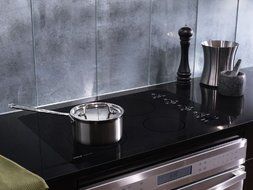 Wolf Black 30&quot; Electric Unframed Induction Cooktop - CT30IU