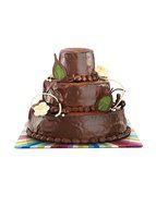 Lekue Surprise Tiered Cake Kit N2