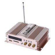 HONGXING AX-5 3 in 1 Hi-Fi Stereo Audio Power Amp USB SD FM Car Amplifier LED Display Amplifier Gold N4