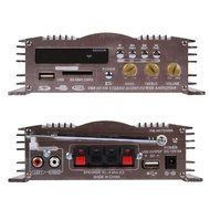 HONGXING AX-5 3 in 1 Hi-Fi Stereo Audio Power Amp USB SD FM Car Amplifier LED Display Amplifier Gold N6