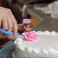 Professional Cake Decorating Tools by Woodsom, The Decorator Starter Kit N2