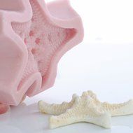 Nobby Star Fish Silicone Mold Food Safe Fondant, Chocolate, Candy, Resin, Polymer Clay, Soap, Wax and Epoxy. Finished... N6