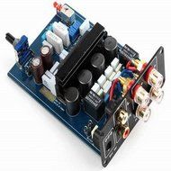 MUSE M20 EX2 TA2020 T-Amp Mini Stereo Amplifier 20WX2 - Gold N4