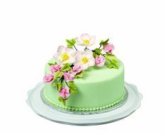 Wilton Decorate Smart Ultimate Trim-N-Turn Cake Caddy N2