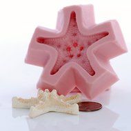 Nobby Star Fish Silicone Mold Food Safe Fondant, Chocolate, Candy, Resin, Polymer Clay, Soap, Wax and Epoxy. Finished... N7