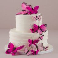 Beautiful Butterfly Cake Set - Purple Splendor