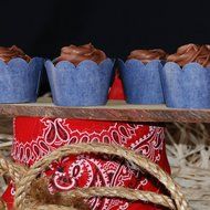 Red Lone Star on Cream, Blue Denim Cupcake Wrappers, Confetti Couture Party Supplies, 36 Reversible Dessert Skirtz