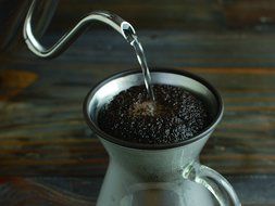 KINTO coffee for stainless steel filter N6