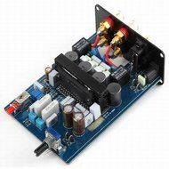 MUSE M20 EX2 TA2020 T-Amp Mini Stereo Amplifier 20WX2 - Gold N9