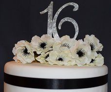 Sweet 16 Cake Topper - Premium Crystal Rhinestones - Monogram Number Sixteen - 16th Birthday Party Decoration...