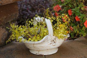 Your Hearts Delight Bowl with Scrolled Handle, 12 by 9-1/2 by 8-Inch, White