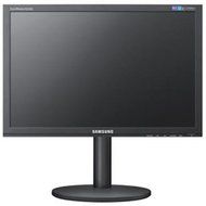 Samsung B2240MW 22-Inch 70000:1 5 ms DVI Matte LCD Monitor ( Black)