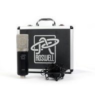 Roswell Pro Audio Aurora Condenser Mic N2
