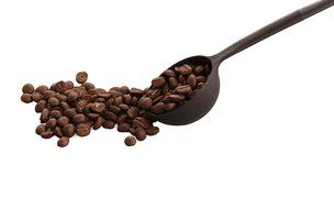 Diguo Coffee Long Handle Coffee Beans Spoon Coffee Powder Spoon Measure Spoon N3
