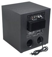 MartinLogan DYN500D Dynamo 500 Subwoofer (Black) N5