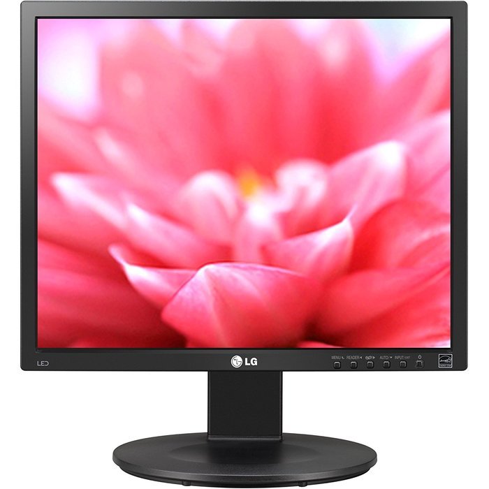 LG Electronics 19MB35D-B 19-Inch Screen LCD Monitor