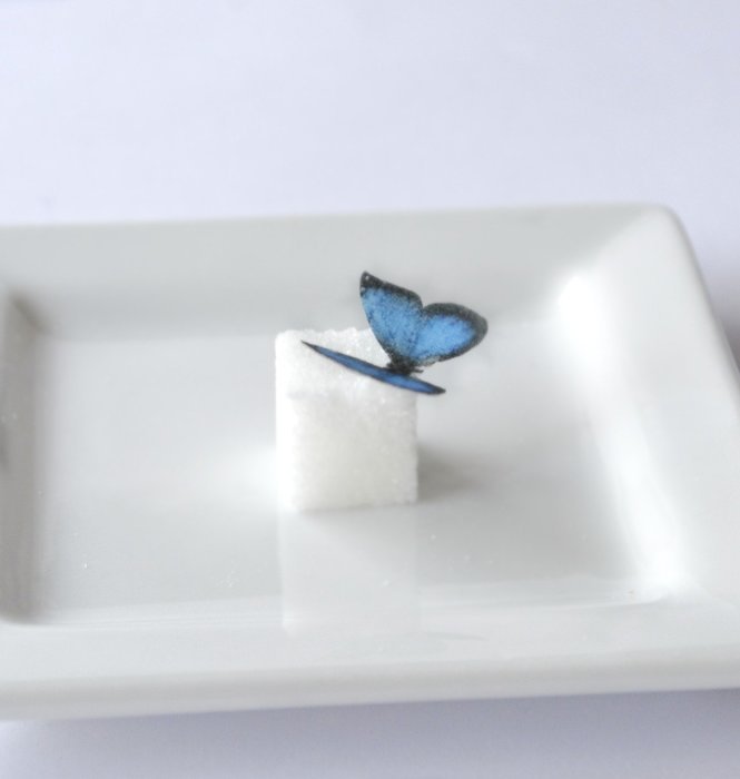 Edible Butterflies &copy; - Mini Assorted Blue Set of 48 - Cake and Cupcake Toppers, Decoration
