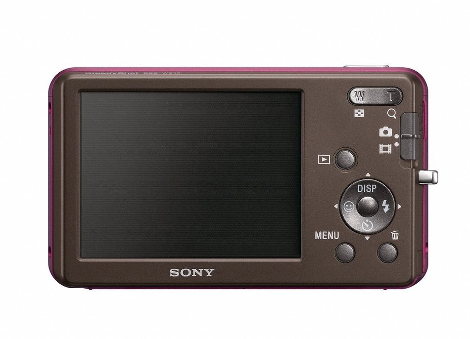 Sony DSC-W310 12.1MP Digital Camera with 4x Wide Angle Zoom with Digital Steady Shot Image Stabilization and 2.7... N4