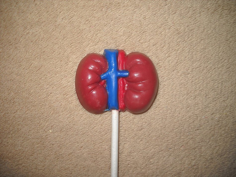 Human Kidney Lollipop Chocolate Candy Mold H171 Halloween Chocolate Candy Mold