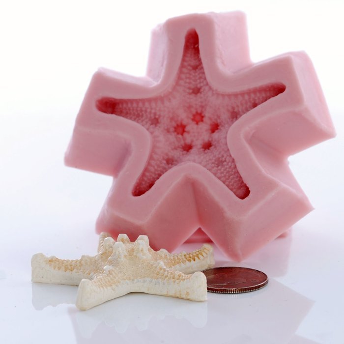 Nobby Star Fish Silicone Mold Food Safe Fondant, Chocolate, Candy, Resin, Polymer Clay, Soap, Wax and Epoxy. Finished... N7