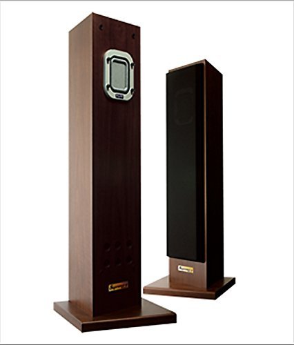 Fal Supreme S C60 Flat type Full range speaker system