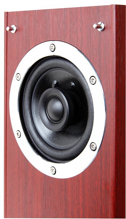 TEAC LS-301-CH + Reference 301 coaxial 2-way speaker hi-res sound source corresponding Cherry