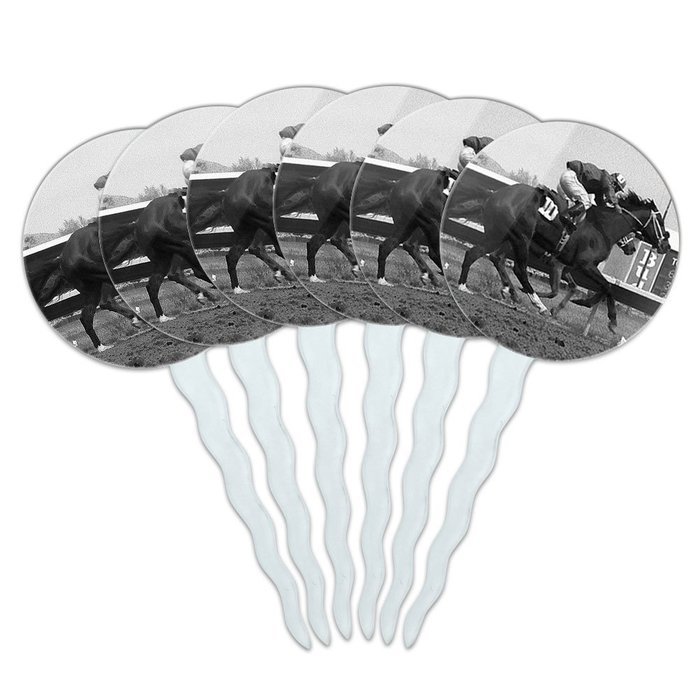 Set of 6 Cupcake Picks Toppers Decoration Gambling Track Cards Poker - Horse Racing Race Jockey N11