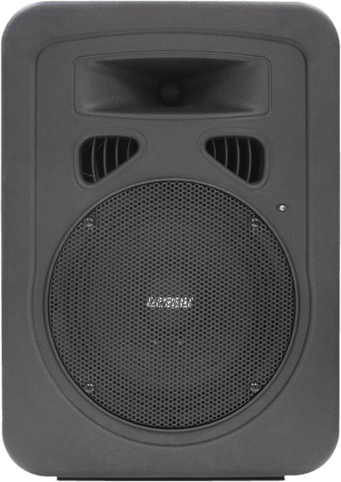 Earthquake Sound DJ-8M 2-Way Monitor/PA Speaker (Black) N2