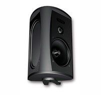 Definitive Technology AW 5500 Outdoor Speakers (Pair Black) Bundle N2
