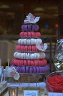 10 Tier Round Macaron Tower Macaron Stand to Hold 230 Macarons N2