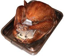 Nifty Poultry Shield