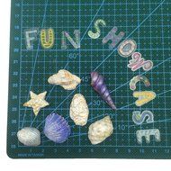 Funshowcase Assorted Sea Star Seashells Silicone Candy mold for Sugarcraft, Chocolate, Fondant, Resin, Polymer... N3