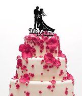 Ecape Wedding Cake Toppers Acrylic Bride and Groom Bridal Cake Toppers with Art Words Mr and Mrs for Cake Decoration N42