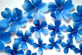 24 BLUE Decorative Edible Wafer Paper Flowers &copy; 3 Sizes 1&quot; - 2&quot; Wedding Cake Cupcake Toppers