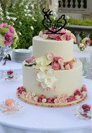 Ecape Creative Mr and Mrs Personalized Wedding Cake Toppers Deer Cake Topper for Special Events N11