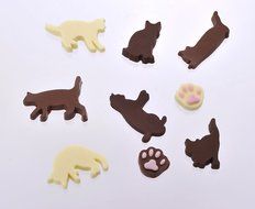 Cat Shaped Silicone Chocolate, Jelly and Candy Mold N2