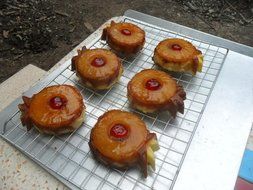 Nordic Ware Pineapple Upside Down Mini Cake Pan Home improvement / accessories