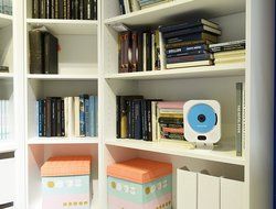 ECHLIFE Latest Wall-mounted Bluetooth Hi-Fi CD Music Player with Remote Control, USB, TF Card, AUX In and Digital... N14