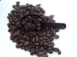 Casual Grounds 1 Tablespoon Durable Coffee Scoop N5