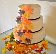 Edible Fall Leaves Assorted Set of 32 Wafers -Cake &amp; Cupcake Toppers N2
