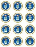 US Air Force Edible Cupcake Toppers - Set of 12