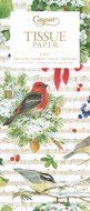 Entertaining with Caspari Decorated Pears Tissue Paper, Package of 4 Sheets
