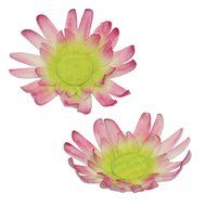 PME Sugarcraft Flower Cutter Set - Daisy - Medium