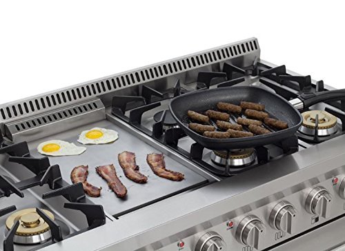 AGA APRO48DFSS 48" Professional Dual Fuel Range with RapidBake Convection, Stainless Steel N3