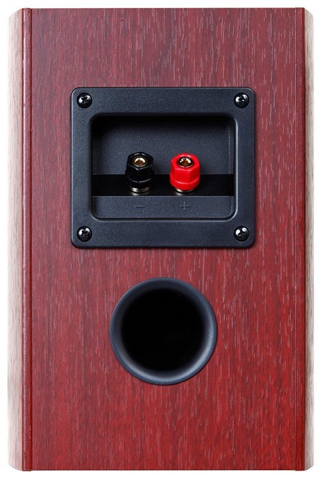 TEAC LS-301-CH + Reference 301 coaxial 2-way speaker hi-res sound source corresponding Cherry N3