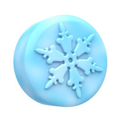 SpinningLeaf Winter Snowflakes Sandwich Cookie Mold N2