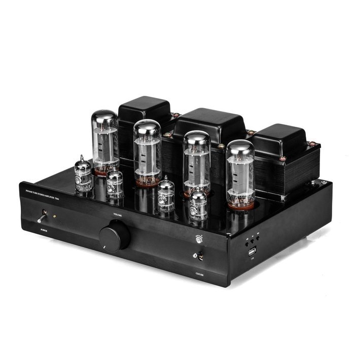 PSVANE TS66 EL34*4 Integrated Push-pull Vacumn Tube Amplifier, USB/CD Mde Aailable N2