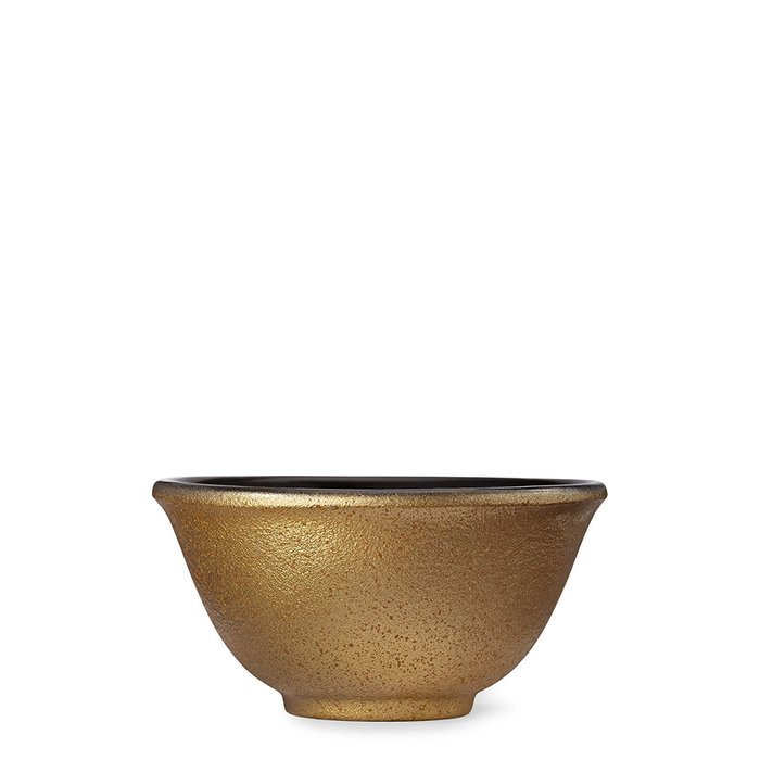Minami Gold Cast Iron Cup by Teavana N2