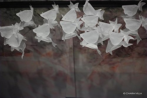 MINI GOLDFISH TEA BAGS (Taiwan Version) - Jin Xuan Flavor N3